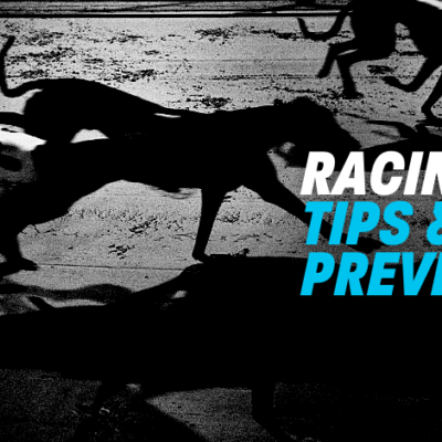 greyhound racing tips