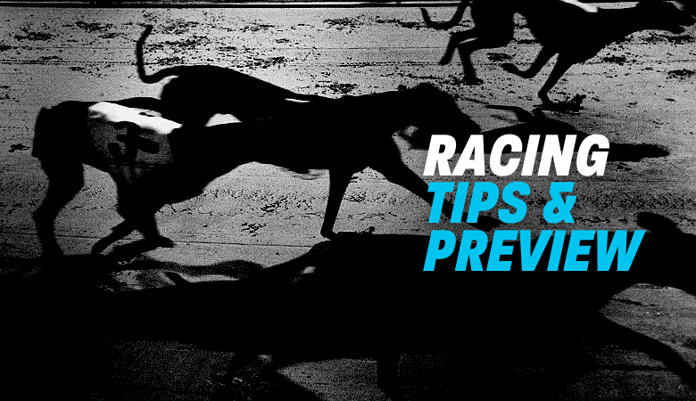 greyhound racing tips